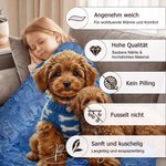 Personalisierte Ölgemälde-Stil Kuscheldecke mit Haustierfoto | mit Namen | weiche Wohndecke | Erinnerung Geburtstag Geschenk für Tierliebhaber