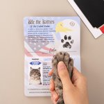Personalized US Passport Inspired Pawsport Pet Passport Photo Album with Photo and Name Travel Keepsake Birthday Adoption Gift for Pet Owners Lovers