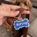 Personalized 3D Printed Bone Pet Name Tag with Phone Number  Dog ID Keychain Birthday Gift for Pet Owners Lovers