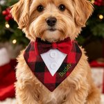 Personalised Red Black Plaid Bowknot Tuxedo Style Dog Bandana with Embroidered Name Christmas Wedding Birthday Gift for Pet Lovers