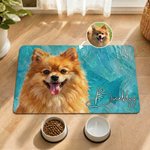 Personalised Oil Painting Style Pet Photo Food Mat with Name Home Decor Pet Supplies Birthday Gift for Cat Dog Pet Owner Lovers