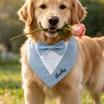 Personalised Red Black Plaid Bowknot Tuxedo Style Dog Bandana with Embroidered Name Christmas Wedding Birthday Gift for Pet Lovers