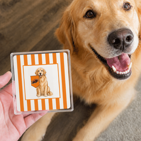 Personalized Multi-Colour Pet Flag Square Acrylic Plaque Desktop Decor Back to School Anniversary Gift for College Students Pet Lovers