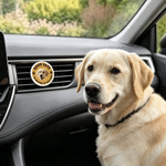 Clip acrílico personalizado para la rejilla de ventilación del coche, con una divertida foto multicolor de la cara de una mascota; bonita decoración para el coche, de uso diario; regalo de cumpleaños 