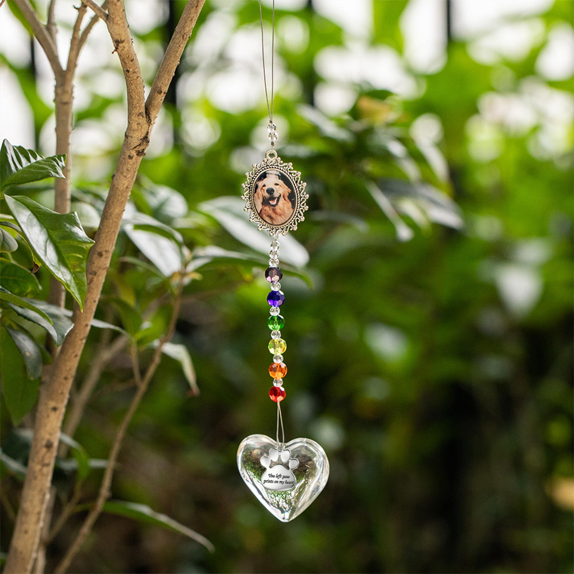 Personalisierte Sie links Paw Print auf mein Herz Herz und Paw Print Sun Catcher Rainbow Bridge Pet Loss Geschenk