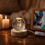 Personalized Pet Photo Round Crystal Ball LED Night Light with Name and Wooden Base Home Decor Pet Loss Bereavement Gift for Pet Owner