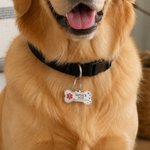 Personalised Bone Shape Service ESA Dog ID Tag with Pet Name Address and Telephone Outdoor Training Use Birthday Gift for Dog Owners