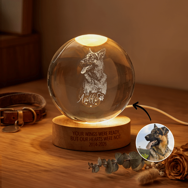 Personalized Pet Photo Round Crystal Ball LED Night Light with Name and Wooden Base Home Decor Pet Loss Bereavement Gift for Pet Owner
