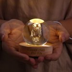 Personalized Pet Photo Round Crystal Ball LED Night Light with Name and Wooden Base Home Decor Pet Loss Bereavement Gift for Pet Owner