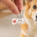 Personalised Bone Shape Service ESA Dog ID Tag with Pet Name Address and Telephone Outdoor Training Use Birthday Gift for Dog Owners