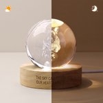 Personalized Pet Photo Round Crystal Ball LED Night Light with Name and Wooden Base Home Decor Pet Loss Bereavement Gift for Pet Owner