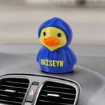 Personalized 3D Printed Hoodie Cruise Duck with Text Desk Decor Birthday Gift for Friends Students and Cruise Lovers