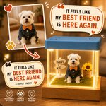 Personalised 3D Holographic Digital Pet House with Text Interactive Tech Memorial Anniversary Gift for Dog Cat Lovers