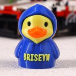 Personalized 3D Printed Hoodie Cruise Duck with Text Desk Decor Birthday Gift for Friends Students and Cruise Lovers