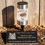 Personalised Wings Pet Photo Solar Garden Light with Name and Year Garden Decoration Memorial Sympathy Gift for Loss of Pet
