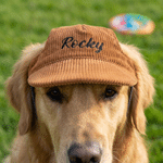 Personalised Embroidered Name Adjustable Pet Baseball Cap with Ear Hole Pet Daily Wear Birthday Gift for Pet Owners
