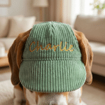 Personalised Embroidered Name Adjustable Pet Baseball Cap with Ear Hole Pet Daily Wear Birthday Gift for Pet Owners
