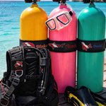 Etiqueta de identificación personalizada de buceo BCD con animales marinos bordados y nombre regalo de cumpleaños para amantes del buceo
