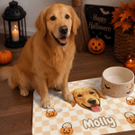 Personalised Watercolor Pumpkin Pet Portrait Photo Food Mat with Name Home Decor Trick-or-Treat Halloween Gift for Pet Owners