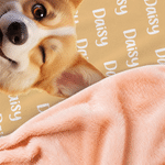 Personalized Multicolor Cute Pet Photo Soft Hooded Blanket with Name Home Decor Birthday Gift for Pet Owners Lovers Friends Family