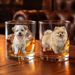 Personalised Oil Painting Style Dog Cat Photo 10 oz Whisky Glass with Name Birthday Gift for Pet Lovers Wine Lovers