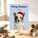 Personalized Multicolor Christmas Hat Pet Portrait Photo Greeting Card with Text New Year Christmas Gift for Family Pet Owners
