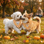 Personalized Fall Autumn Cartoon Pet Photo Bandana with Name Adjustable Buckle Pet Party Harvest Birthday Gift for Pet Owners Lovers