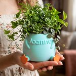 Personalised Multicolour 3D Chicken or Duck Feet Shaped Mini Plant Pot with Name Desktop Decor Birthday Gift for Plant Lover Friend