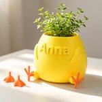 Personalised Multicolour 3D Chicken or Duck Feet Shaped Mini Plant Pot with Name Desktop Decor Birthday Gift for Plant Lover Friend