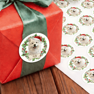 Personalised Christmas Hat Pet Photo Waterproof Stickers Labels with Text Gift Decor Christmas Party Gift for Pet Owner