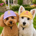 Cappellino da sole multicolore regolabile per animali domestici con nome ricamato personalizzato e fori per le orecchie – Abbigliamento quotidiano per animali domestici – Regalo di compleanno per i pr