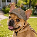 Cappellino da sole multicolore regolabile per animali domestici con nome ricamato personalizzato e fori per le orecchie – Abbigliamento quotidiano per animali domestici – Regalo di compleanno per i pr