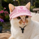 Cappellino da sole multicolore regolabile per animali domestici con nome ricamato personalizzato e fori per le orecchie – Abbigliamento quotidiano per animali domestici – Regalo di compleanno per i pr