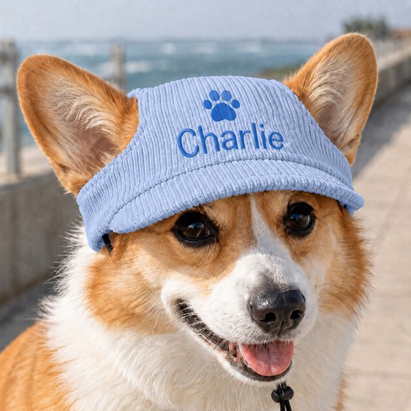 Chapeau de soleil multicolore ajustable pour animal de compagnie, avec nom brodé personnalisé et ouvertures pour les oreilles. À porter au quotidien. Cadeau d'anniversaire idéal pour les propriétaires