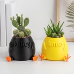 Personalised Multicolour 3D Chicken or Duck Feet Shaped Mini Plant Pot with Name Desktop Decor Birthday Gift for Plant Lover Friend