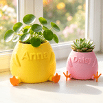 Personalised Multicolour 3D Chicken or Duck Feet Shaped Mini Plant Pot with Name Desktop Decor Birthday Gift for Plant Lover Friend