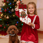 Personalised Christmas Theme Snowflake Pet Photo Christmas Stocking with Name Home Decoration Christmas Gift for Pet Lovers