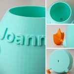 Personalised Multicolour 3D Chicken or Duck Feet Shaped Mini Plant Pot with Name Desktop Decor Birthday Gift for Plant Lover Friend