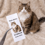 Lot de 15 étiquettes cousues personnalisées avec des photos drôles d'animaux de compagnie, pour vêtements et travaux manuels. Cadeau d'anniversaire idéal pour les amateurs de tricot, de bricolage et d