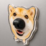 Personalized 3D Dog Nose Pet Photo Acrylic Magnetic Fridge Magnet with Name Home Decoration Birthday Gift for Dog Owners Lovers