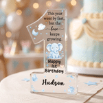 Personalized Happy 1st Birthday Cartoon Animal Acrylic Plaque with Name First Birthday Daily Use Gift for Baby Boy Girl
