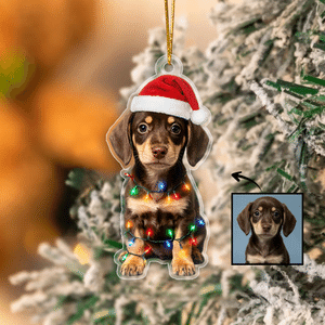 Personalized Christmas Hat Lights Pet Photo Design Hanging Acrylic Ornament Tree  Decoration Christmas Gift for Pet Lovers