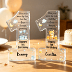 Personalized Happy 1st Birthday Cartoon Animal Acrylic Plaque with Name First Birthday Daily Use Gift for Baby Boy Girl