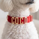 Personalized Gold Metal Letters Velvet Adjustable Dog Collar with Name Birthday Gift for Dog Owner