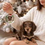 Personalized Wreath Christmas Hat Pet Photo Acrylic Glass Ornament with Name and Year Tree Decoration Christmas Gift for Pet Lovers Friends