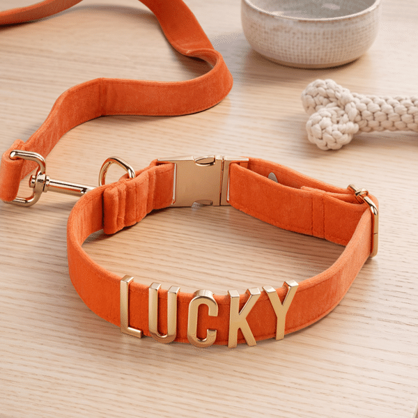 Personalized Gold Metal Letters Velvet Adjustable Dog Collar with Name Birthday Gift for Dog Owner