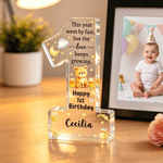 Personalized Happy 1st Birthday Cartoon Animal Acrylic Plaque with Name First Birthday Daily Use Gift for Baby Boy Girl
