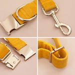Personalized Gold Metal Letters Velvet Adjustable Dog Collar with Name Birthday Gift for Dog Owner