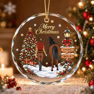 Personalized Cartoon Character Horse Back View Acrylic Glass Ornament with Name Tree Decoration Christmas Gift for Riders Horse Lovers