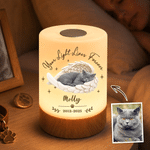 Veilleuse personnalisée à commande tactile et intensité réglable, avec photo de votre animal de compagnie, des ailes peintes à l'aquarelle, son nom, un titre et la date : cadeau de condoléances en sou